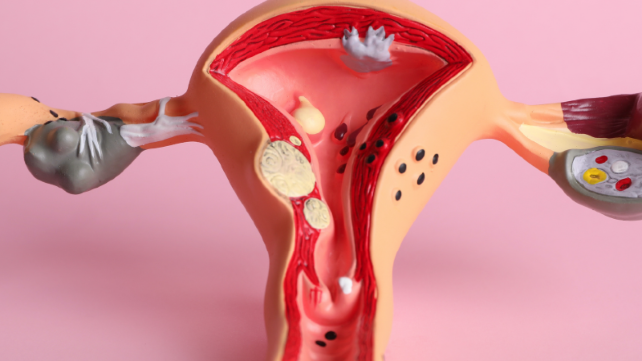 ginecologia-integrativa