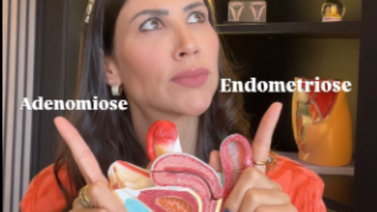 imagem_2025-01-24_151230922